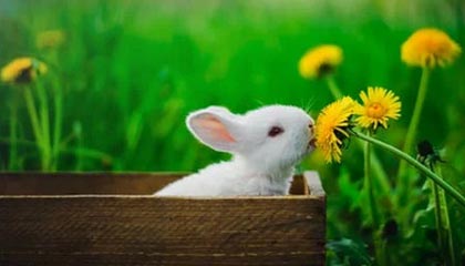 九游网站入口官网：开启游戏世界的多维入口